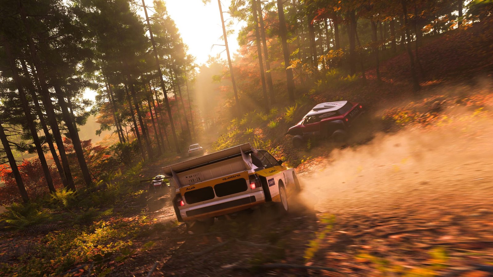 Forza Horizon 6 Beginner Guide: What to Know Before You Start