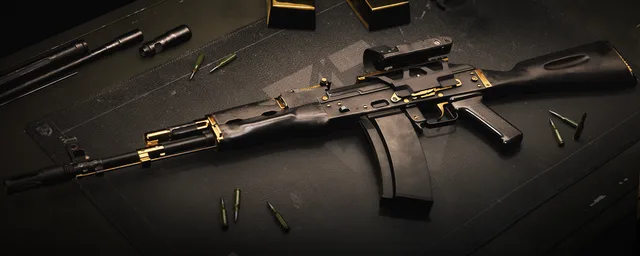 WARDOGS Black & Gold AK74 skin