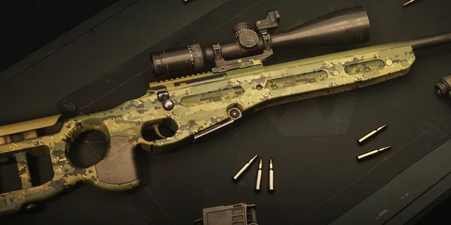 WARDOGS Digital Wood SV98 skin